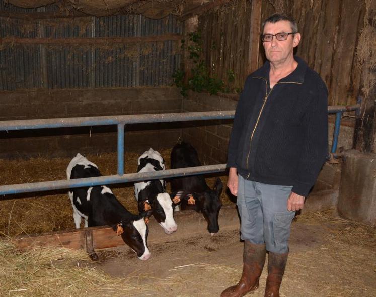 Pascal Cottin, du Gaec de l’étang à Lézigné, avec trois de ses génisses prim’holstein. « Je conseille la délégation à tous les éleveurs qui n’ont pas beaucoup de surface en pâturage, et qui ont un emploi du temps surchargé. »
