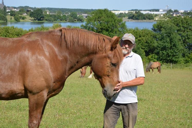 Xavier Brunet en compagnie d’un Cob normand, race de cheval de trait. En médaillon, deux autres chevaux de trait de race Trait breton.