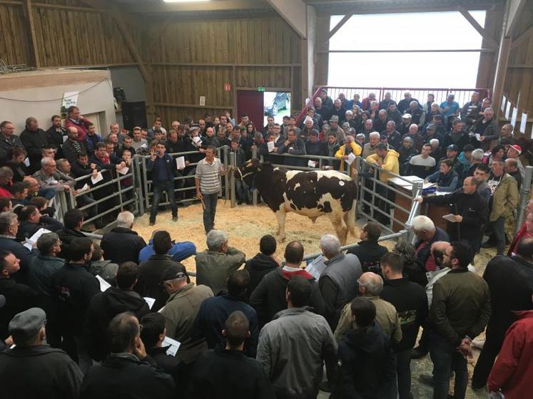 Le public s’était déplacé en nombre pour assister à la vente aux enchères des reproducteurs de rouges des prés qui s’est tenue mercredi 16 octobre, au Domaines des rues.