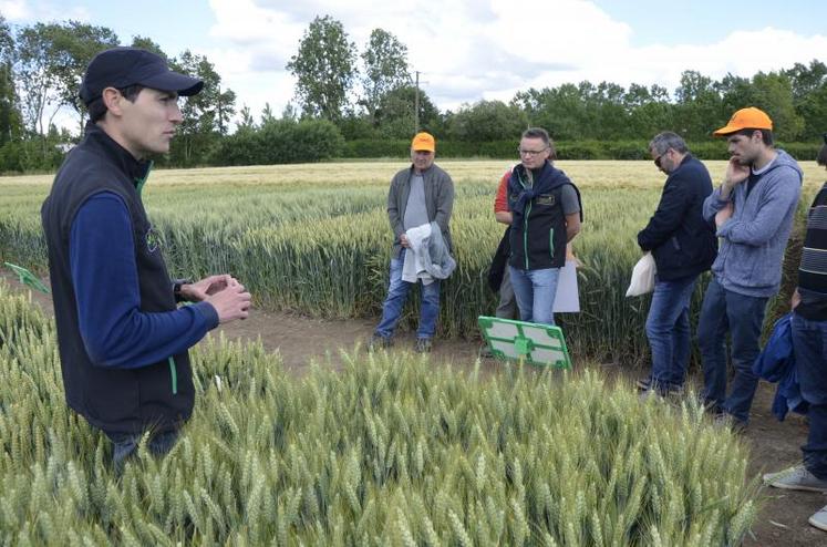 Cyril Bigot, expert cultures et filières céréales à pailles chez Terrena, avec les adhérents de la coopérative lors de la Journée technique « Atouts Culture », jeudi 13 juin à Brain-sur-l'Authion.