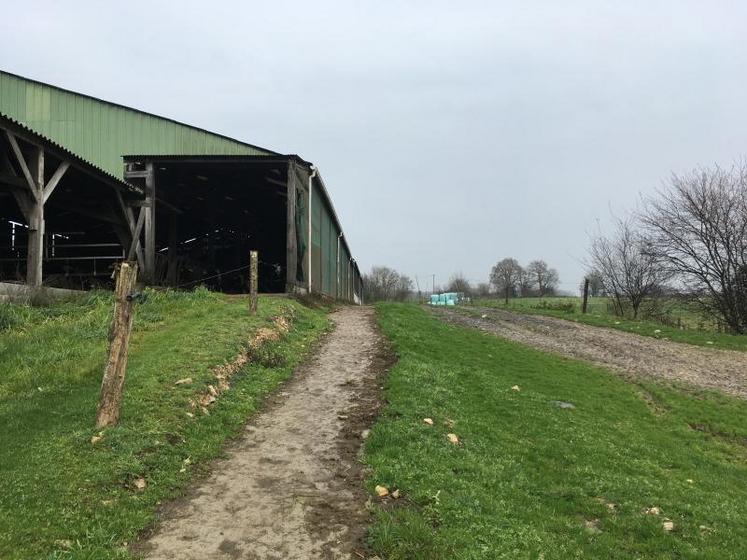 Sur des chemins de 6 m de largeur, une bande de 1,40 m (au premier plan) est bétonnée pour le confort des vaches. Les engins peuvent circuler sur la partie empierrée. Les écoulements sont récupérés dans la fosse.