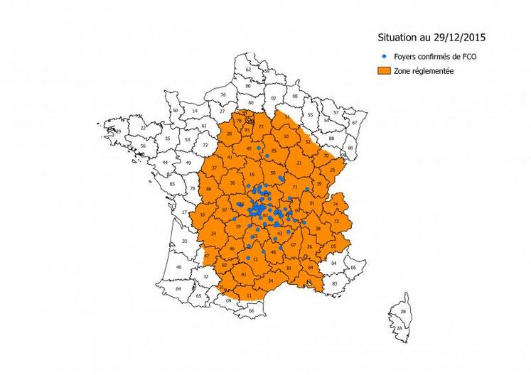 Ce sont au total 143 cas de FCO qui ont été détectés, dont notamment 37 cas dans l’Allier, 53 dans le Puy-de-Dôme, 9 dans la Creuse, 4 dans le Cher, 5 en Saône-et-Loire, 6 dans la Nièvre, 11 dans la Loire, 1 dans l'Indre , 6 dans le Cantal, 2 dans l'Aveyron, 3 dans la Haute Loire, 1 dans le Loiret, 1 en Lozère, 2 en Corrèze, 1 dans l'Yonne et 1 en Isère.