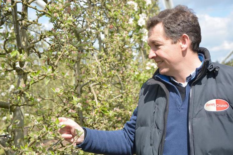 François Richard est arboriculteur à Etriché et il lui tient à cœur de réduire, dès qu’il le peut, l’usage de produits phytosanitaires.