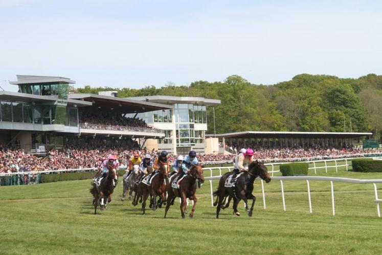 Après avoir été vides, les hippodromes se rempliront à partir du 11 juillet.