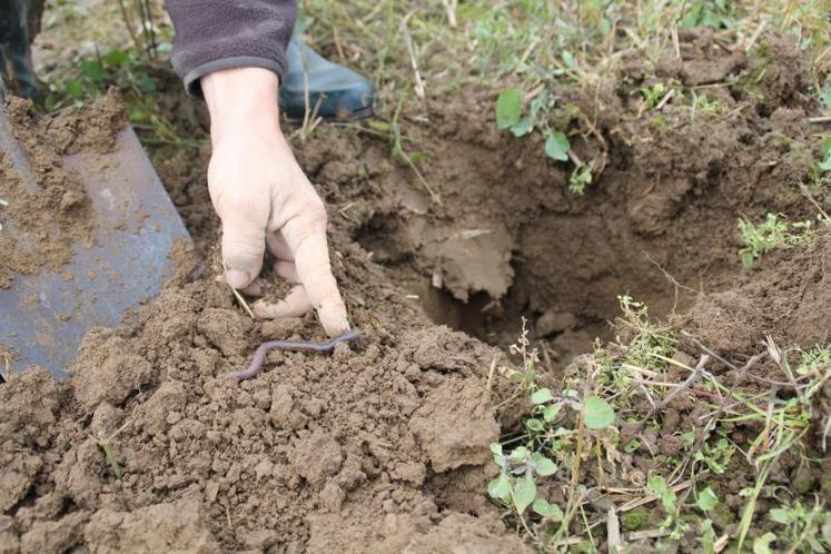 Une souplesse pourrait être accordée à l'agriculture de conservation.