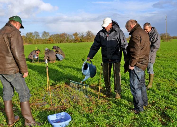 Mercredi, à Cantenay-Épinard. Les participants ont appris à mettre en œuvre un protocole d’observation de l’activité des vers.