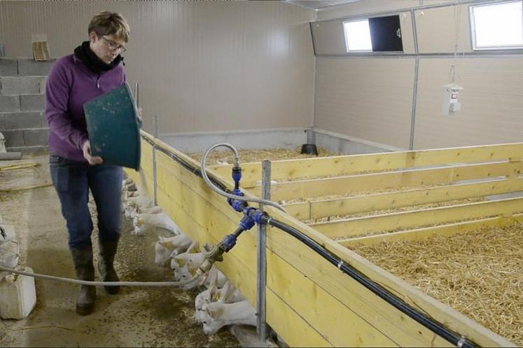 Elodie Lardeux, éleveuse en agriculture biologique à Aviré, dans le Maine-et-Loire.