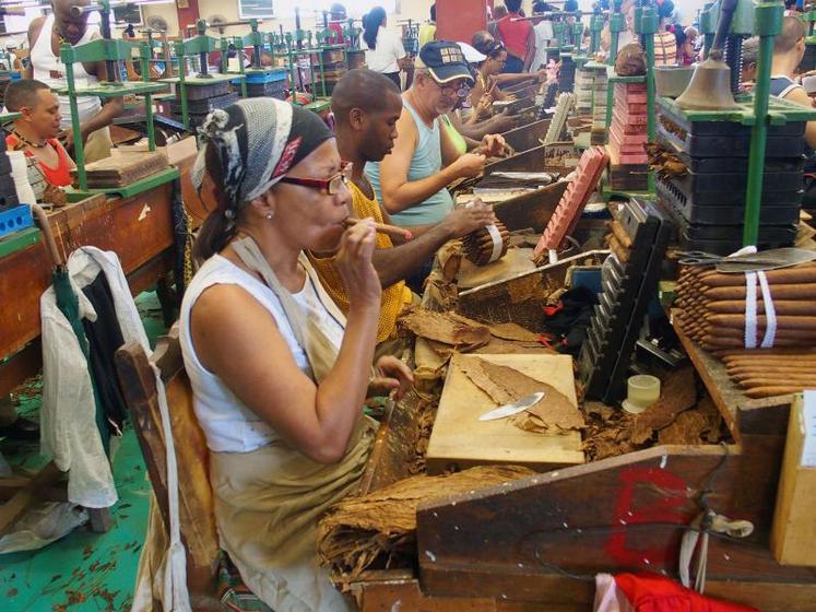 Une fabrique de cigares à la havane. La fabrication est assurée par une main-d’œuvre à 60 % féminine.