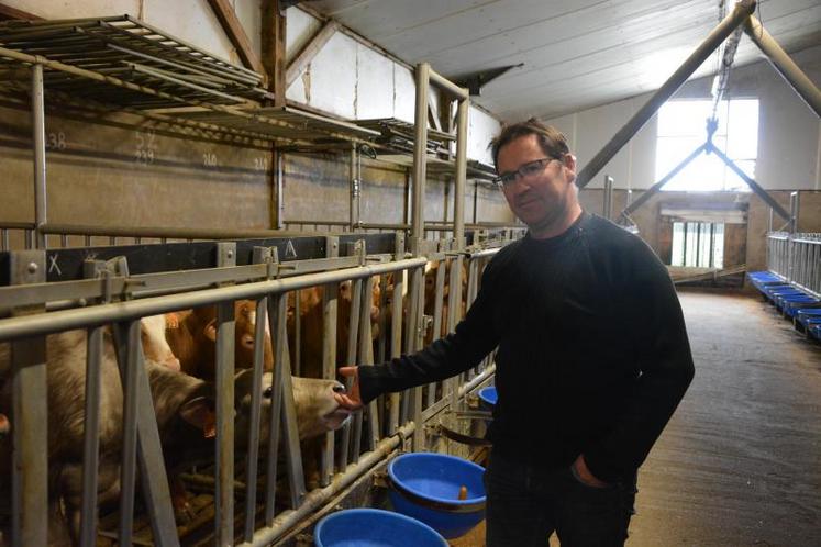 Luc Gelineau, éleveur de veaux de boucherie sur la commune de La Pouëze, dans son bâtiment de 410 places.