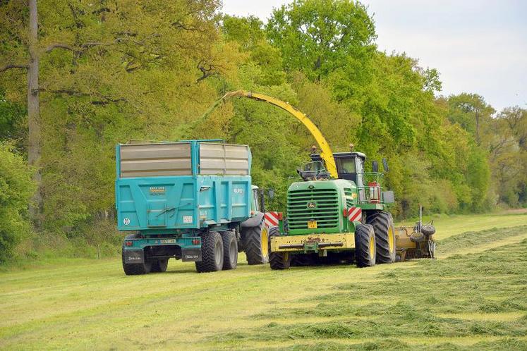 Ensileuse récoltant l’herbe préalablement fauchée et fanée 24/48 heures plus tôt.