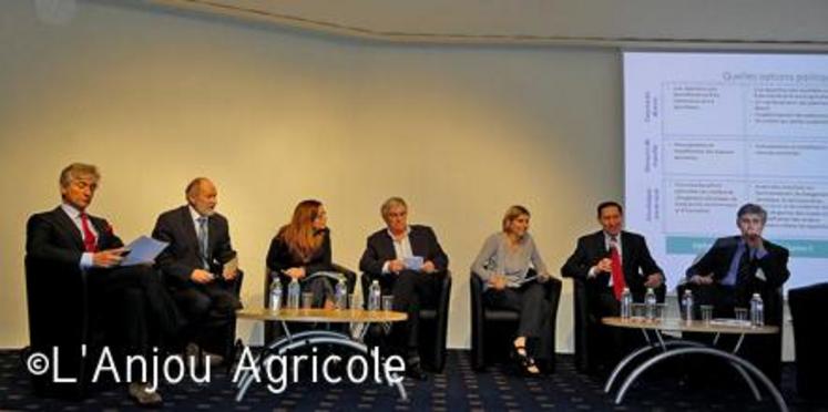 Mardi 11 janvier, une table ronde consacrée à la politique européenne des fruits et légumes a réuni (de gauche à droite) : Paolo Bruni, président de la Cogeca, Bruno Dupont, président du Sival, Gwenola Mainguy, du ministère de l’agriculture, Pierre Diot, président du Gefel, Nathalie Ternois (journaliste), Leandro Mas Pons, de la direction générale de l’agriculture de la Commission européenne et Philippe Binard, délégué général de Freshfel.