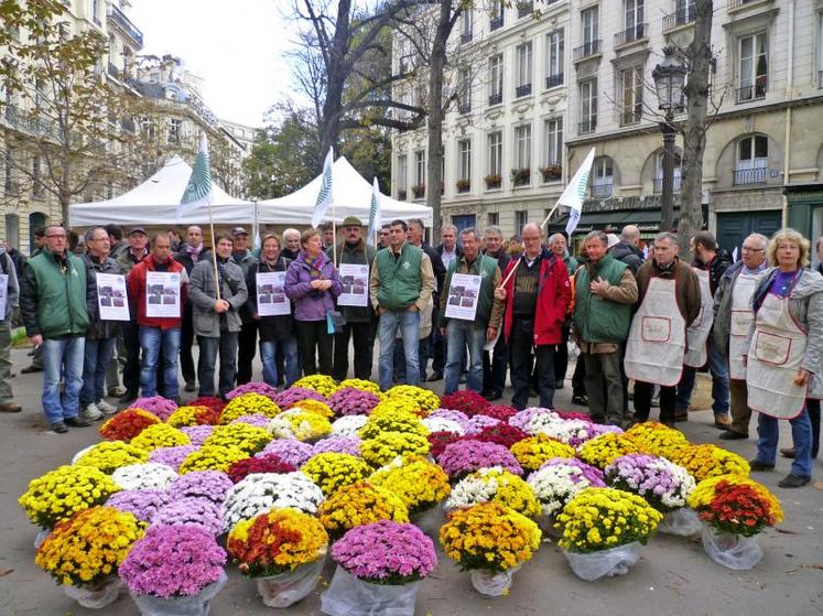 Devant un parterre de chrysanthèmes, Anne Gautier, présidente de la section employeurs FDSEA 49, a dénoncé les lourdes conséquences de l’article 60 du projet de Loi de finances sur l’emploi agricole : “Pour les Pays de la Loire, ce sont 12 millions d’euros de charges en plus”.