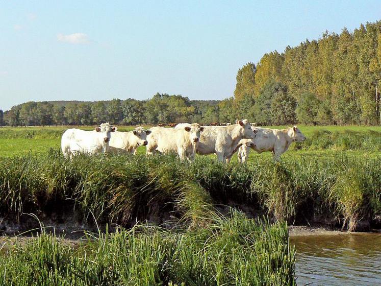 les responsables ont insisté sur la nécessité de partager les données de qualité de l’eau et les critères utilisés, avant de proposer des zones renforcées et le programme d’actions.