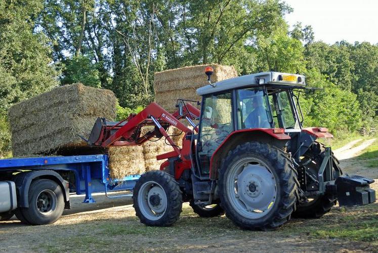 Le prix de vente de la paille au sortir de la machine est estimé à 25 €/t maxi, soit le coût de l’amendement.