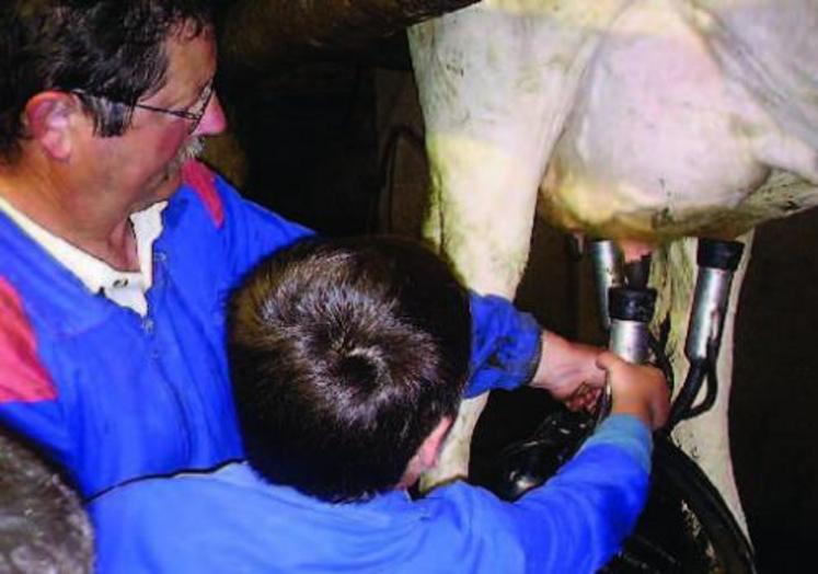 Les enfants aident à traire, nourrir ou laver les bêtes.