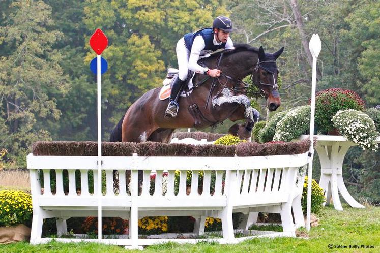 Fire Fly est le cheval sacré champion du monde en 2016 dans l’épreuve des 6 ans, monté par Christopher Burton, cavalier australien.