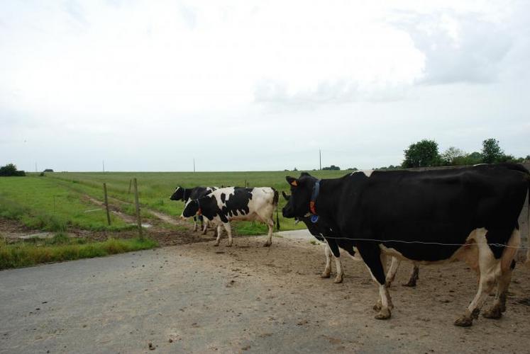 Selon les chambres consulaires, le rapport de l’observatoire confirme que « les coûts de production des agriculteurs, lorsqu’on y inclut la rémunération de la main d’œuvre familiale, ne sont pas couverts par les prix, ni même par les aides dans certaines filières ».