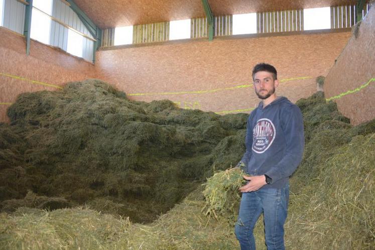 Dans le séchoir du Gaec des Landes, il ne reste que 50 tonnes de luzerne. Tout le foin de ray grass est quasiment consommé, « mais ce n’est pas grave puisque les vaches sont au pâturage », remarque Simon Hamard, l’un des 6 associés.