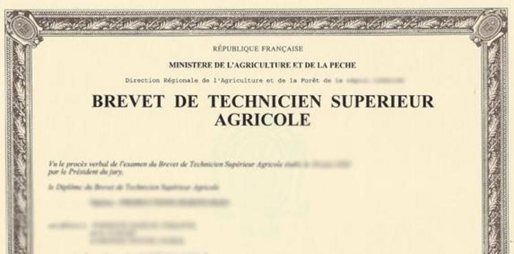 La filière BTSA connaît une progression du taux de réussite (+1,7 point).