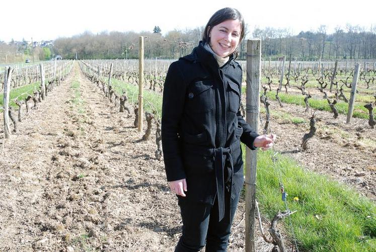 Anne-Sophie Debiais, technicienne viti-vinicole : “Dans cette parcelle de cabernet, le ray grass implanté dans tous les rangs fait une concurrence trop grande à la vigne.  Nous ne laisserons désormais qu’un rang sur deux enherbé”.  Afin de redonner de la vigueur à la parcelle, qui ne donne que 48 hectolitres/hectare.