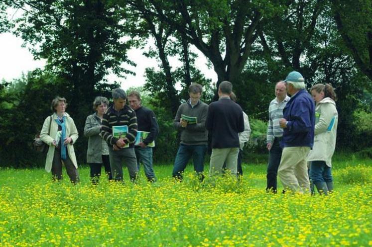 Sur l’atelier “composer des prairies à flore variée”, les agriculteurs ont pu observer sur le terrain, comprendre les critères de choix et échanger entre eux.