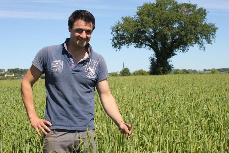 « Travailler les grandes cultures bio est très intéressant, souligne Cédric Durmort, agriculteur à Jarzé. Comme on ne peut pas faire de curatif, on doit effectuer un suivi technique poussé et faire du préventif ».