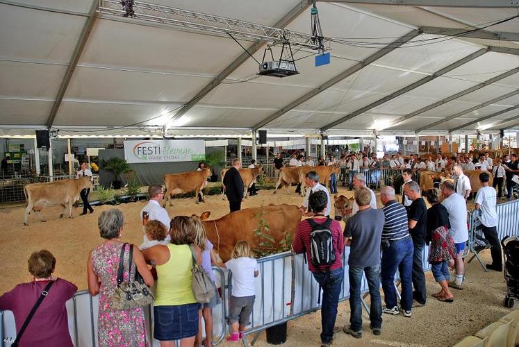 L’édition 2011 a rassemblé 11 races bovines, dont l’inter-régional jersiaise, 2 races caprines et la race ovine de l’Ouest.