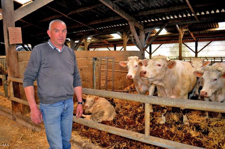 Marc Poirier a choisi la charolaise : “c’est une des races qui valorise le mieux les fourrages grossiers”.