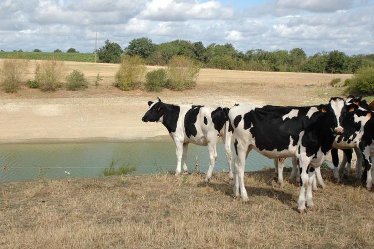 La rencontre sera l’occasion d’aborder les questions de création de réserves et de mettre en évidence les freins au stockage de l’eau.