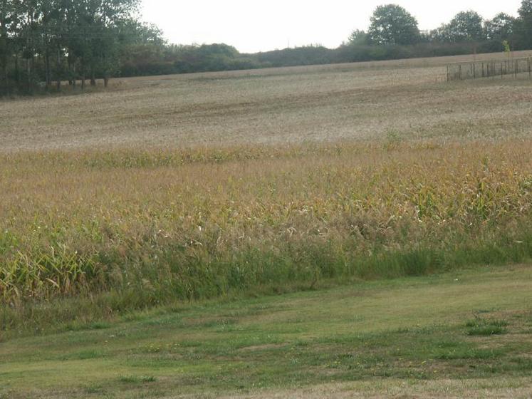 "L'année 2015 a été démonstrative des besoins d'irrigation, qui constitue une assurance sur le revenu pour les agriculteurs", a déclaré Daniel Martin, président d'Irrigants de France.