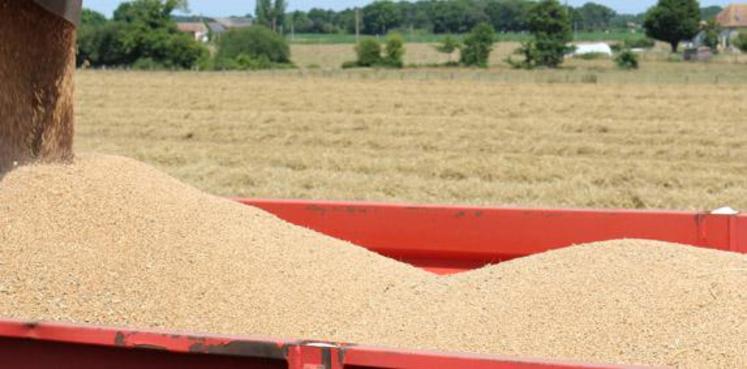 « L'Autorité de la concurrence autorise la prise de contrôle d'Agri-Négoce par Axéréal Participations sous réserve d'engagements », selon un communiqué.