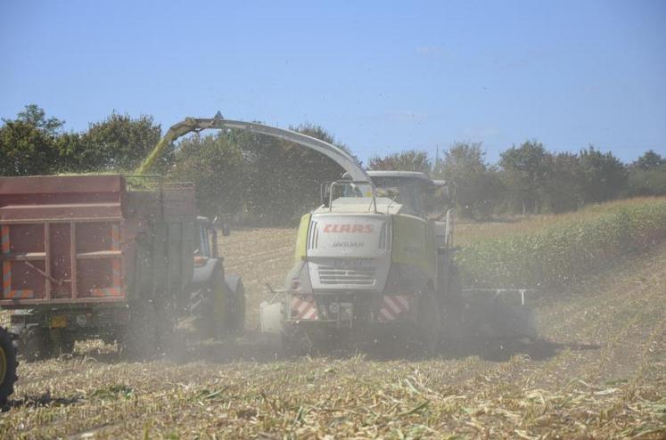 Ensilage à La Tourlandry.