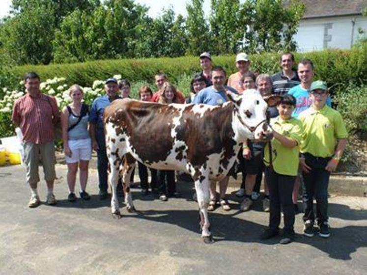 Les jeunes éleveurs normands du Maine-et-Loire se sont rendus en Mayenne pour un concours national de génisses.