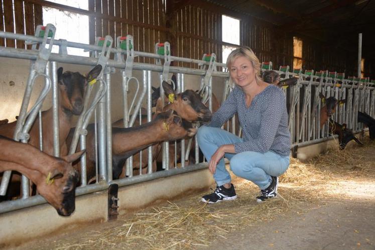 Catherine Gervais travaille en binôme avec son mari Jacques Gervais. Ensemble, ils élèvent des chèvres et des vaches allaitantes, à Somloire.