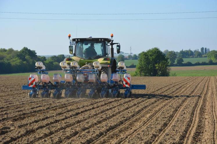 Le semoir Monosem 8-9 rangs Multislide NG a déjà semé 200 hectares. Son conducteur, Pierre-Antoine Hoinard, apprécie la simplicité et le confort de travail.