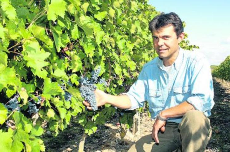 Didier Vazel, à Martigné-Briand, est responsable du vignoble familial Delhumeau de 40 hectares en AOC Anjou-Saumur.