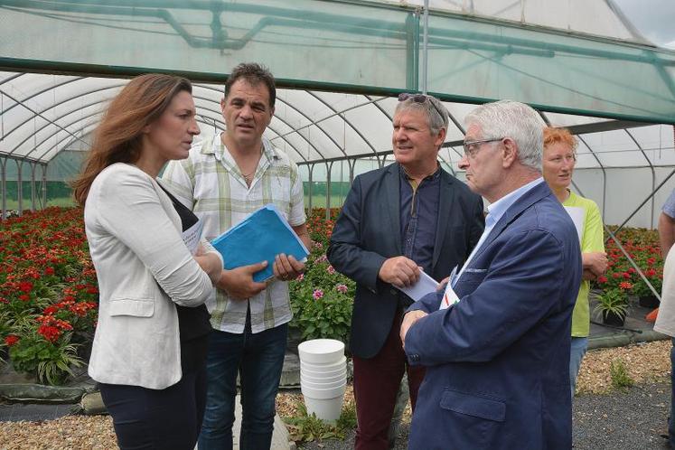 Pour la 1ère circonscription du département, la FDSEA et JA ont rencontré Caroline Fel, candidate LR-UDI sur l'exploitation horticole de Claudine Oger.