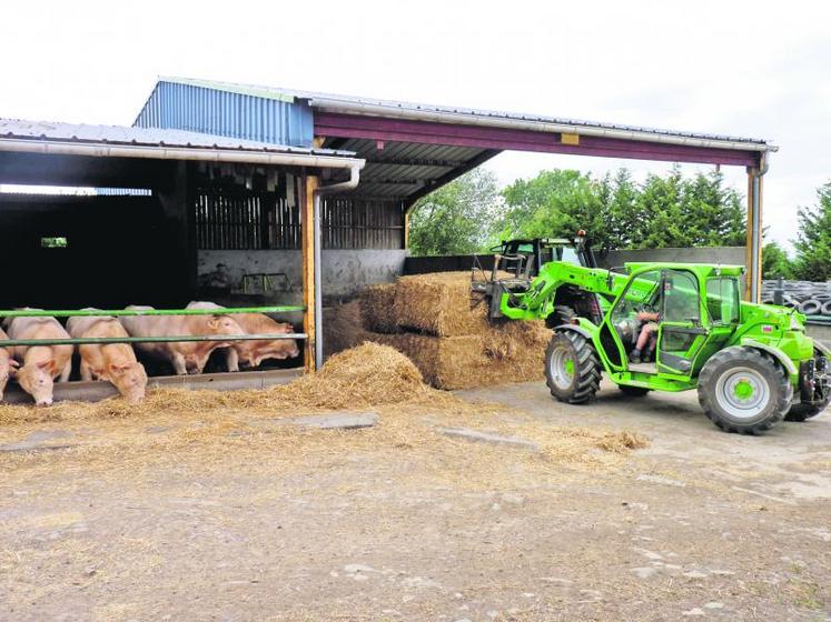 Lundi, à Saint-Augustin-des-Bois, le démarrage de l’opération paille. 