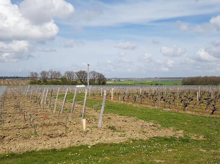 Six éoliennes ont été installées sur la plaine de Saint-Cyr-en-Bourg. Une éolienne protège environ 5 hectares.