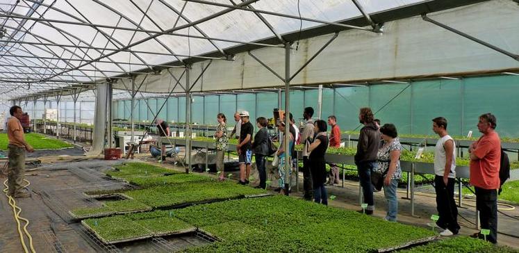 Quatre femmes et huit hommes motivés et sans connaissances agricoles ont ainsi pu découvrir la diversité des productions et des métiers de l’agriculture.