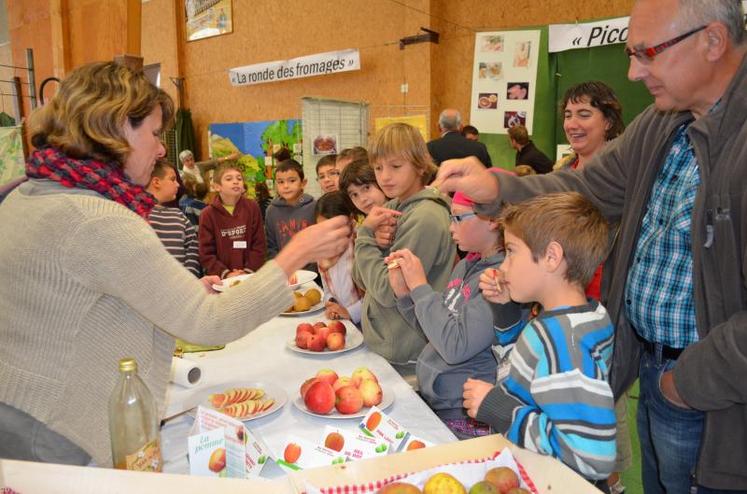 Apprécier la diversité des fromages