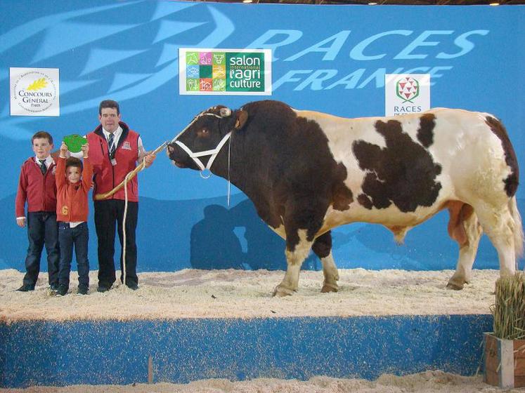 Forban, champion mâles adultes en rouge des prés.