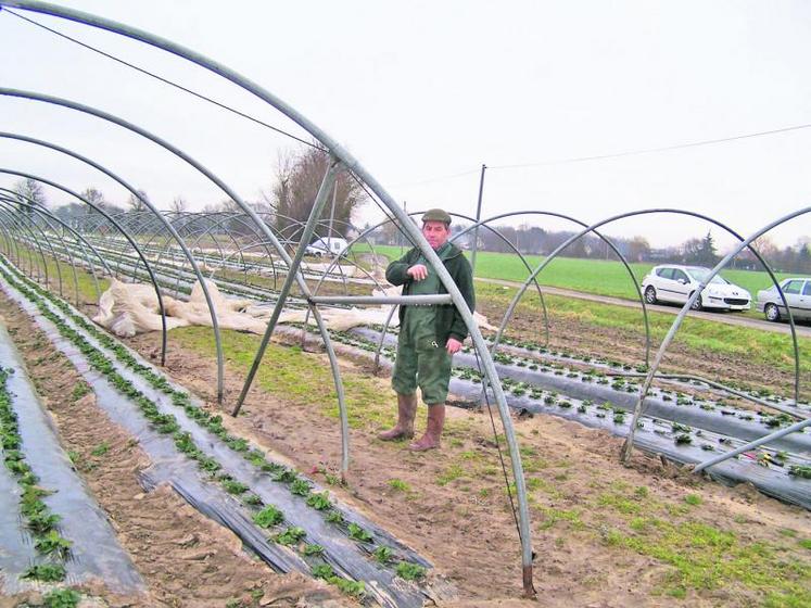 La tempête a fait des dégâts sur les serres du Gaec des Mimosas à Varennes-sur-Loire (4 mètres qui abritaient des plants de fraisiers).