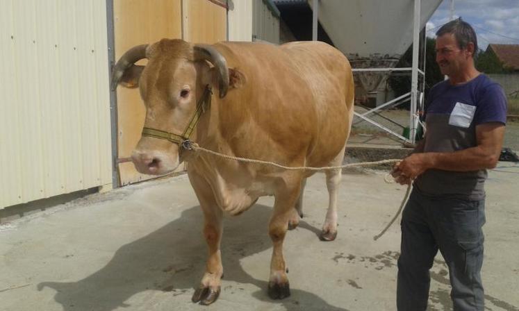 Docile et Alain Rousselot seront présents sur la foire de la Petite angevine, lundi 28 août à Beaupréau.