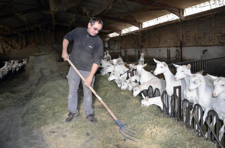 Aujourd’hui, Jean-Pascal Bonsergent a deux bâtiments de 200 chèvres.