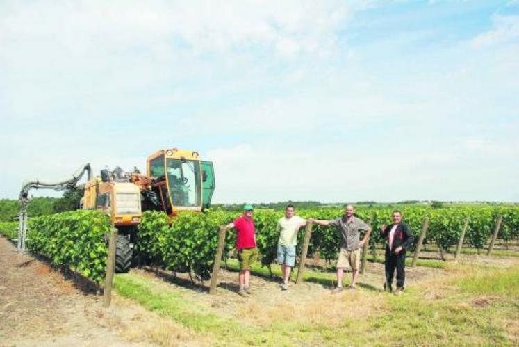 Daniel Frappreau, trésorier, Mickaël Gueneau, membre, Antoine Poupard, utilisateur, gérant du Domaine de la Petite Roche, Jean-Camille Chabosseau, président de la Cuma devant la machine à vendanger polyvalente. Dans la Cuma, se côtoient des vignerons spécialisés et des éleveurs-viticulteurs.