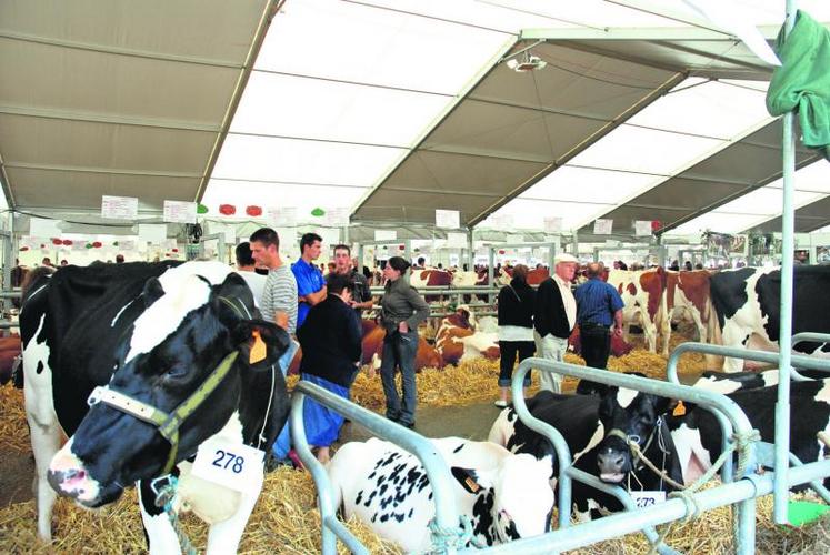 Plus de 10 000 visiteurs sont venus à la rencontre des éleveurs et de leurs animaux.