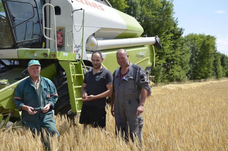 De gauche à droite : Daniel Cadeau et Nicolas Gaugain, de l’ETA SARL Cadeau ; et Jean-Marc Chouteau, sur la parcelle d’orge de 6 ha du Gaec Chouteau, à Saint-Sylvain-d’Anjou.