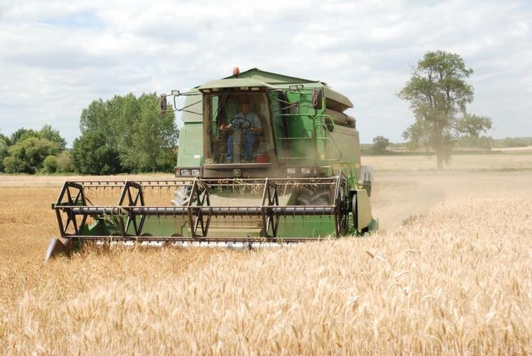 Concernant la France, « les rendements en blé tendre, orge d’hiver et de printemps (cultures les plus affectées) ont été révisés à la baisse, et sont maintenant proches de la moyenne quinquennale et bien inférieurs à ceux de l’an dernier ».