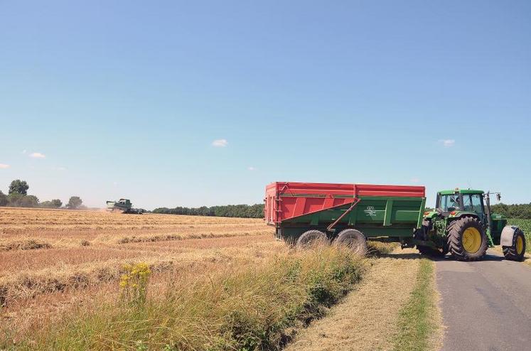 La moisson achevée, l’heure est aux bilans. Cette année, les rendements sont satisfaisants.